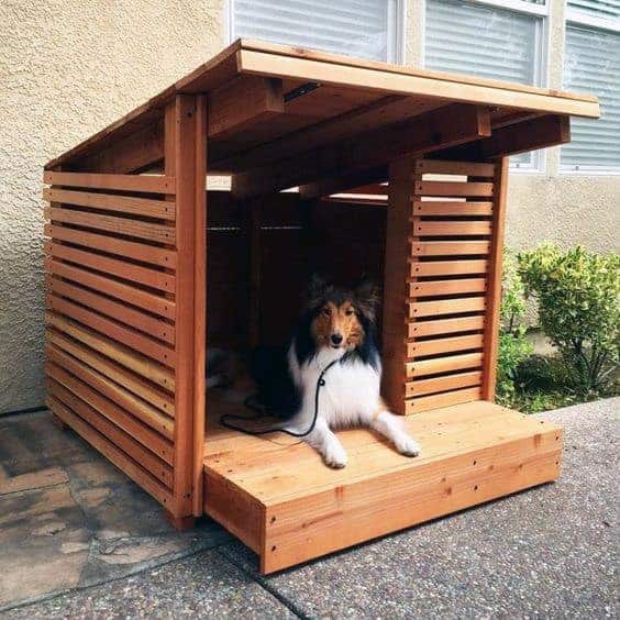Wood pallet dog house