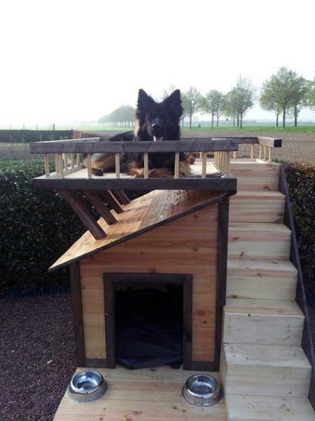 Multi functional dog shelter with a raised roof and a balcony bed