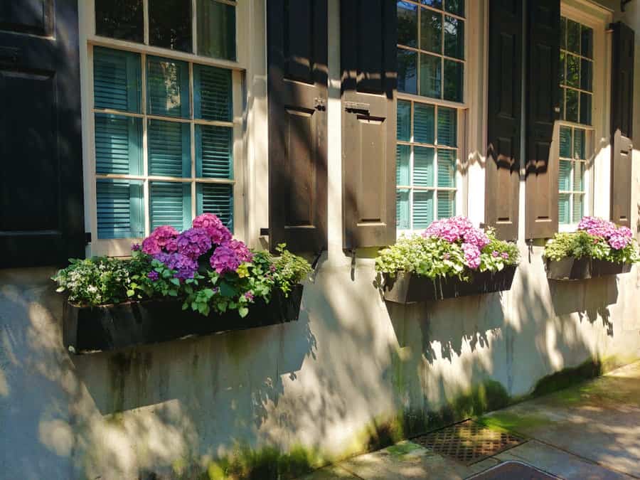 Pink window box arrangement