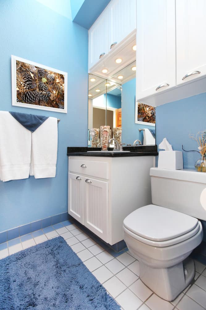 Cabinet over the toilet storage ideas 