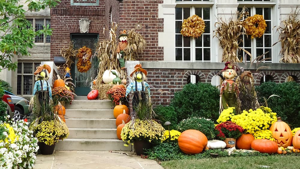 Front yard with pumpkins
