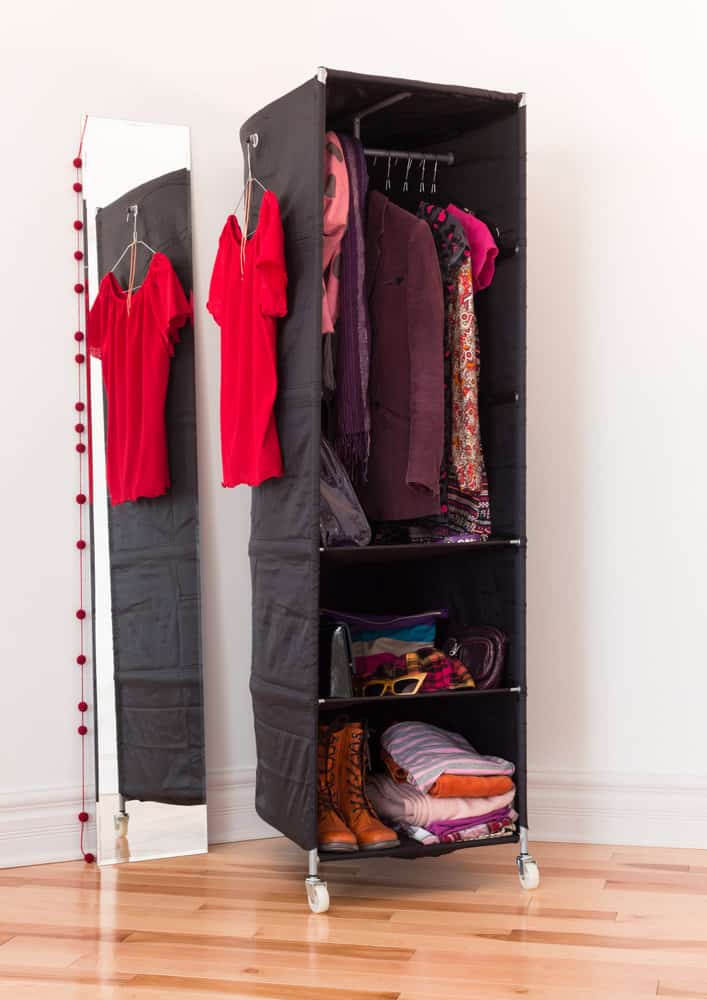 Mobile clothes organizer