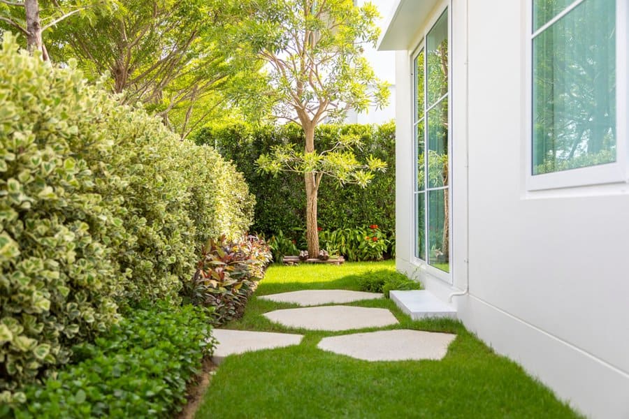 Desert landscaping with barrel cactus