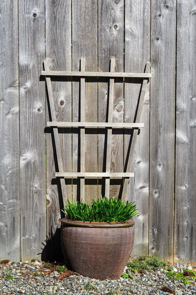 Planters with trellis