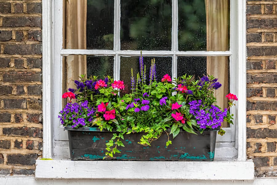 Window box